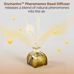 Load image into Gallery viewer, Pheromones Reed Diffuser
