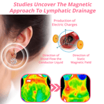 Load image into Gallery viewer, Lymphvity MagneTherapy Germanium Earrings
